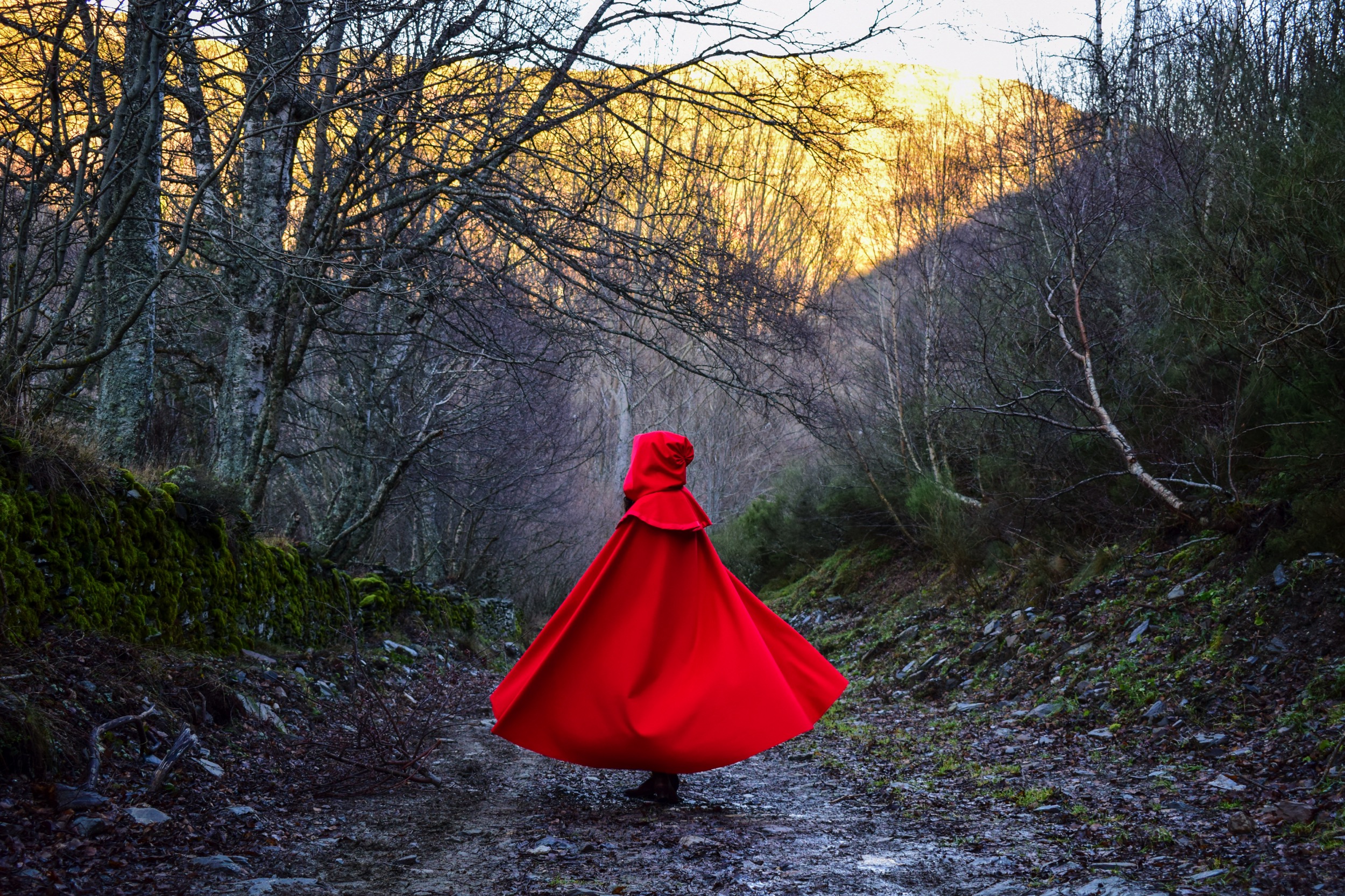 the picture links to a sewing project consisting of an 18th century cardinal cloak